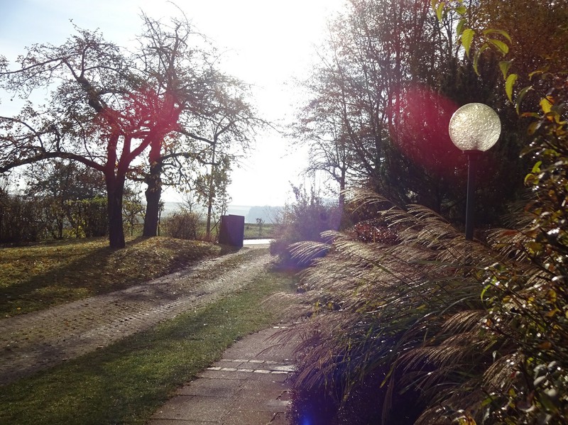 Herbstlaub 2016