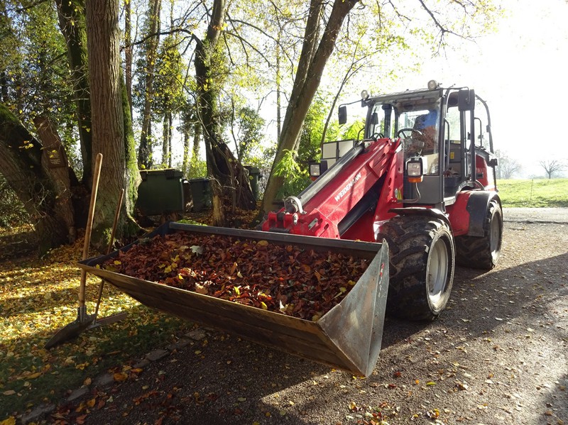 Herbstlaub 2016