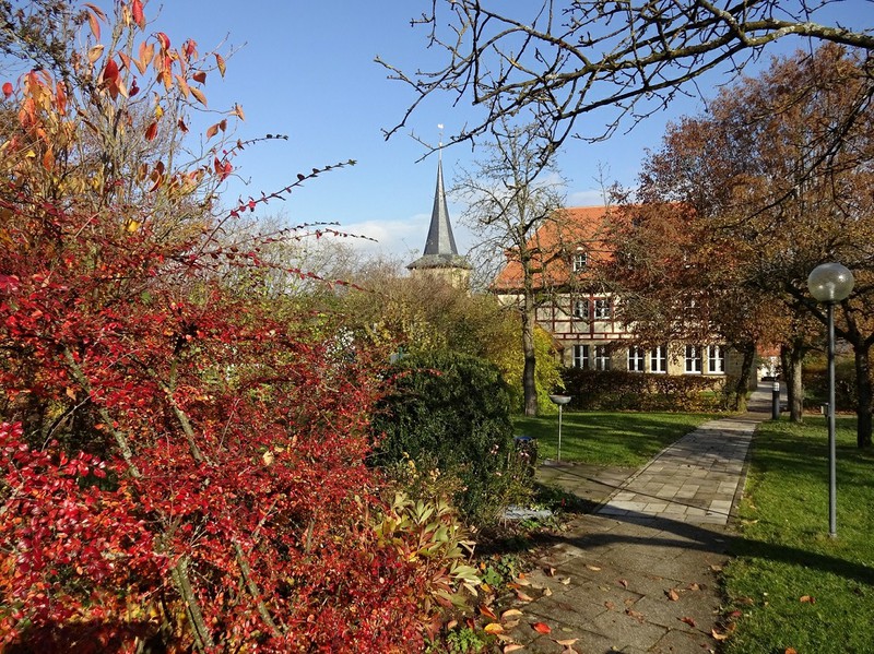 Herbstlaub 2016