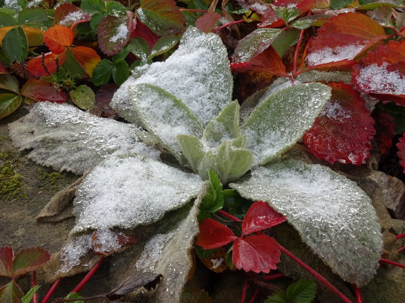 Wintereinbruch am 9.11.2016